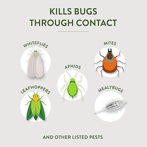 Miniatura 3 de Garden Safe Jabón insecticida listo para usar, 1 unidad (paquete de 1)