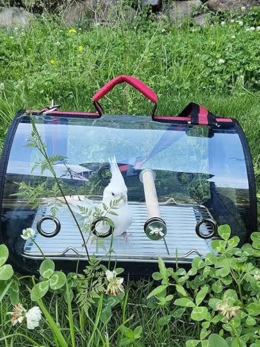 Bolsa Passarinho Mala Transporte Pássaro Aves Papagaios Calopsita panorâmica