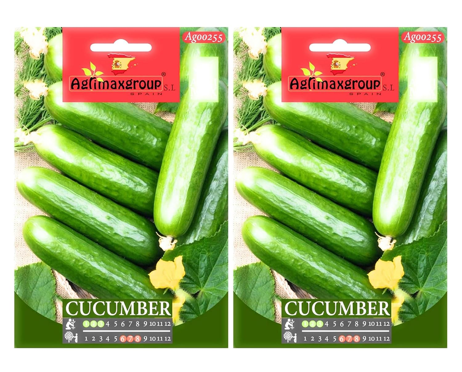 Cucumber seedss Premium Quality Seedss by Agrimaxgroup Seeds Hybrid,Organic Non GMO Vegetable Seeds for Home and Garden Plants,Easy to Plant,| Made in SPAIN| 5g | PACK OF 2