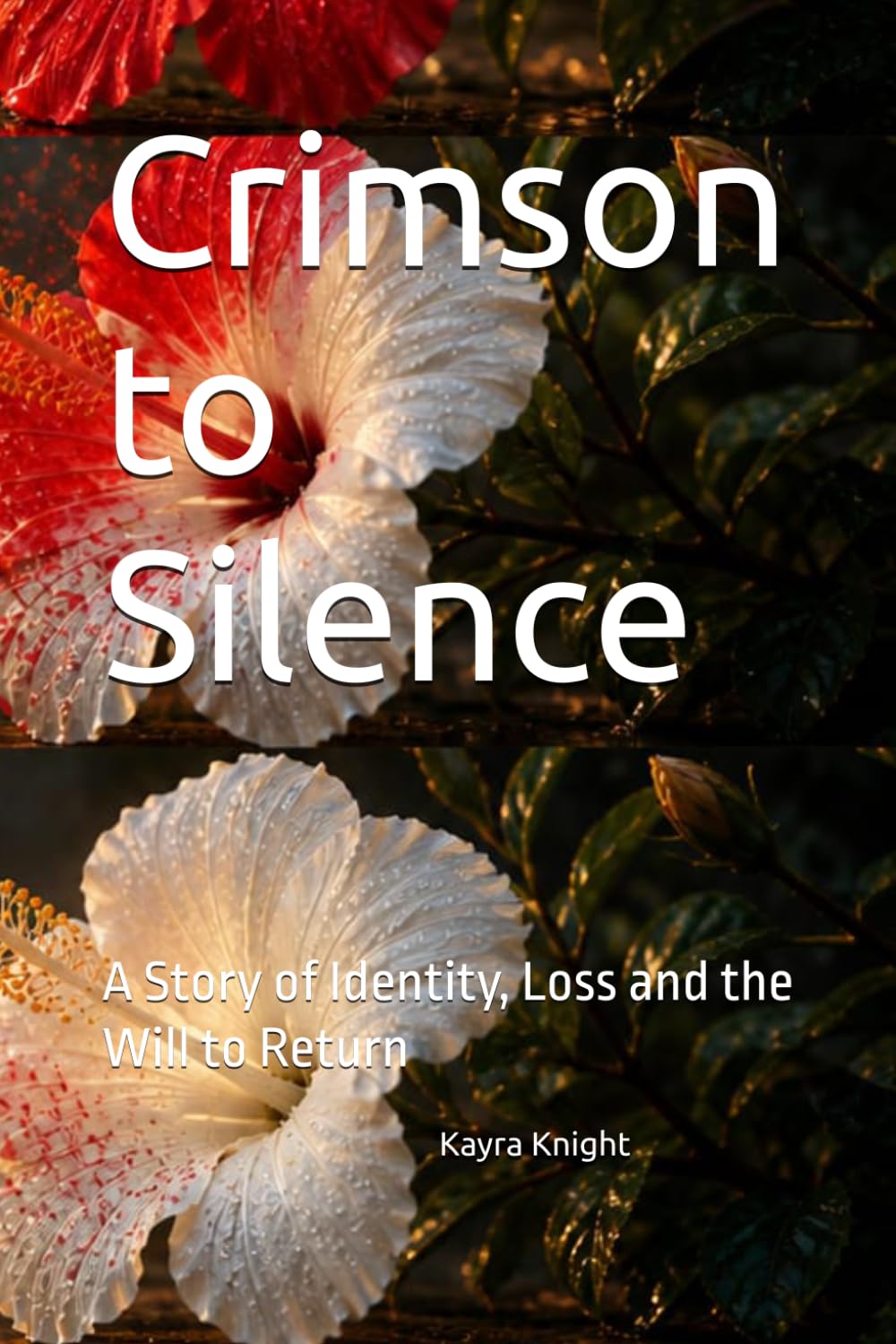 Crimson to Silence: A Story of Identity, Loss and the Will to Return