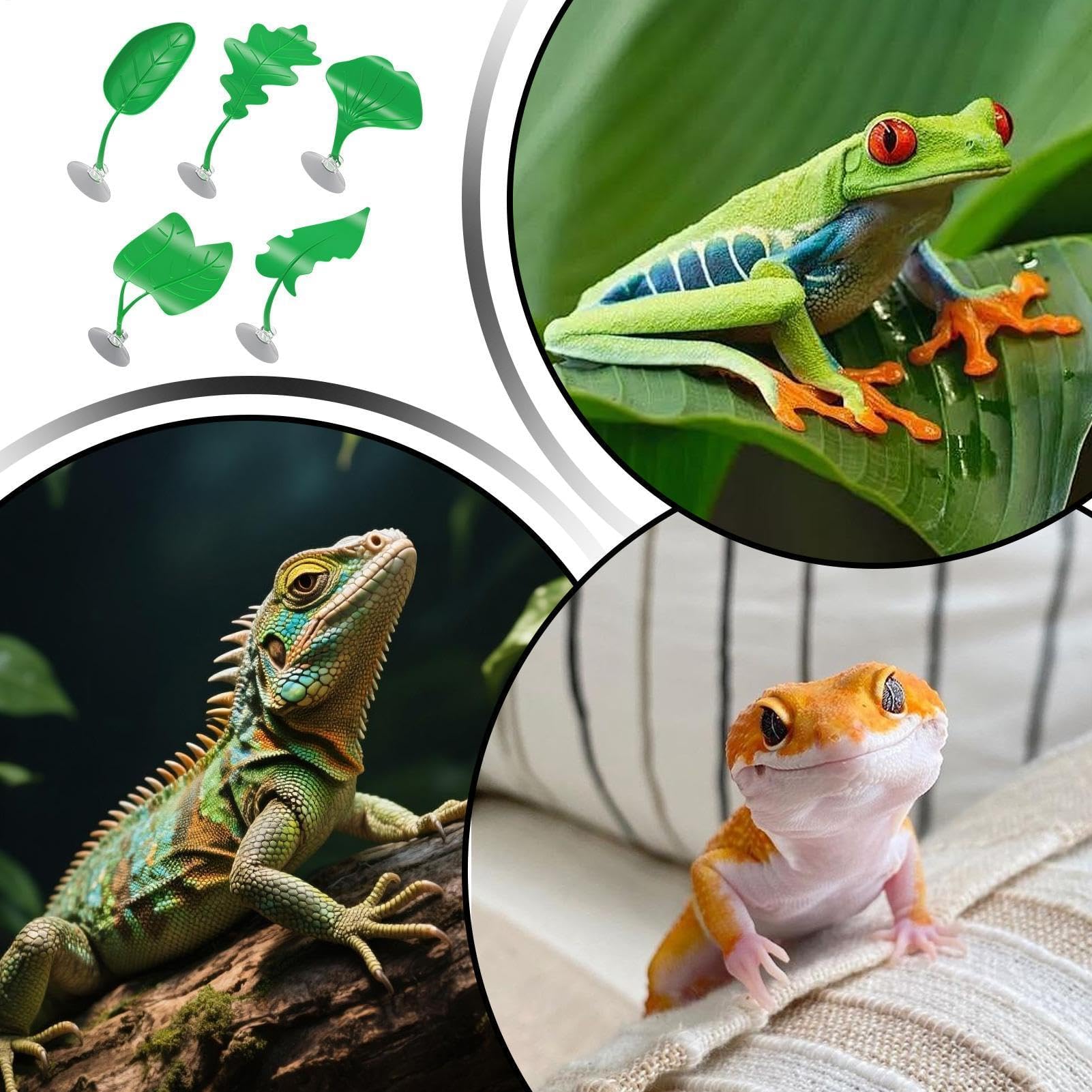 Lot de 5 décorations de terrarium artificielles en forme de feuilles pour rongeurs, lézards, petits animaux, utilisation en intérieur/extérieur