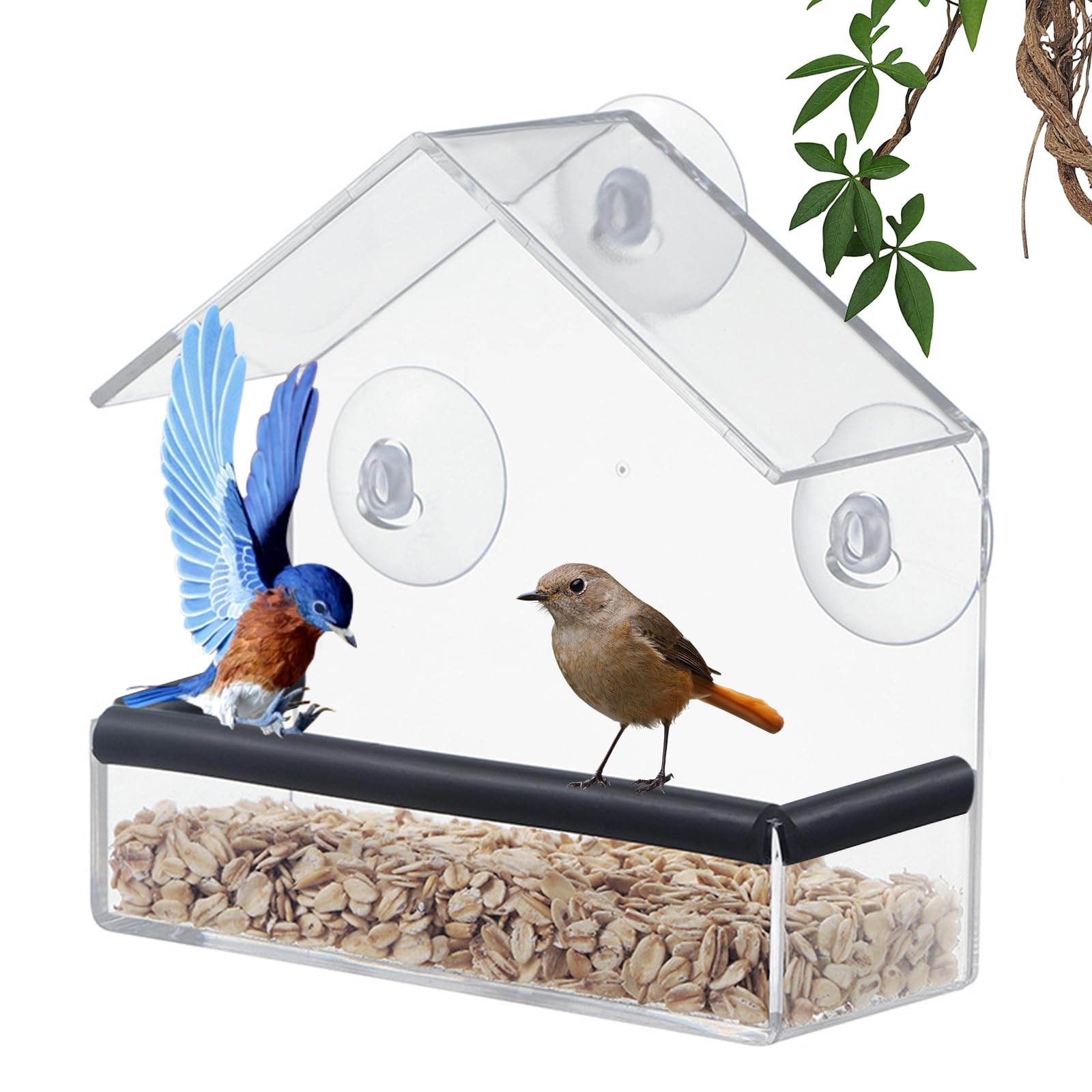 Shudyear Window Bird Feeder
