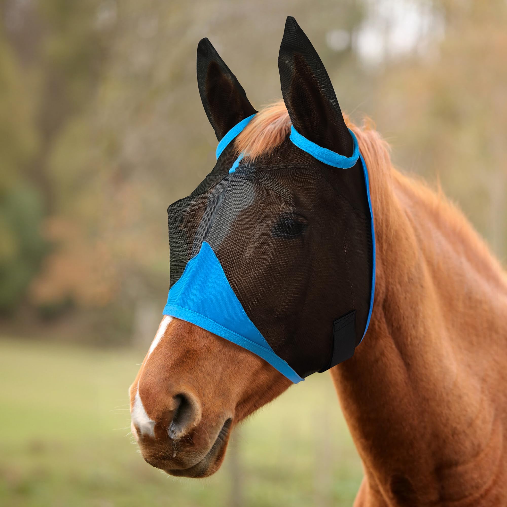 Hilltown Fly Mask for Horse with Ears - UV-Block, Large Eye Space, Adjustable, Breathable, Built to Last for Daily Stable, Hot Weather Riding and Competition - Yearling/Large Pony, Blue