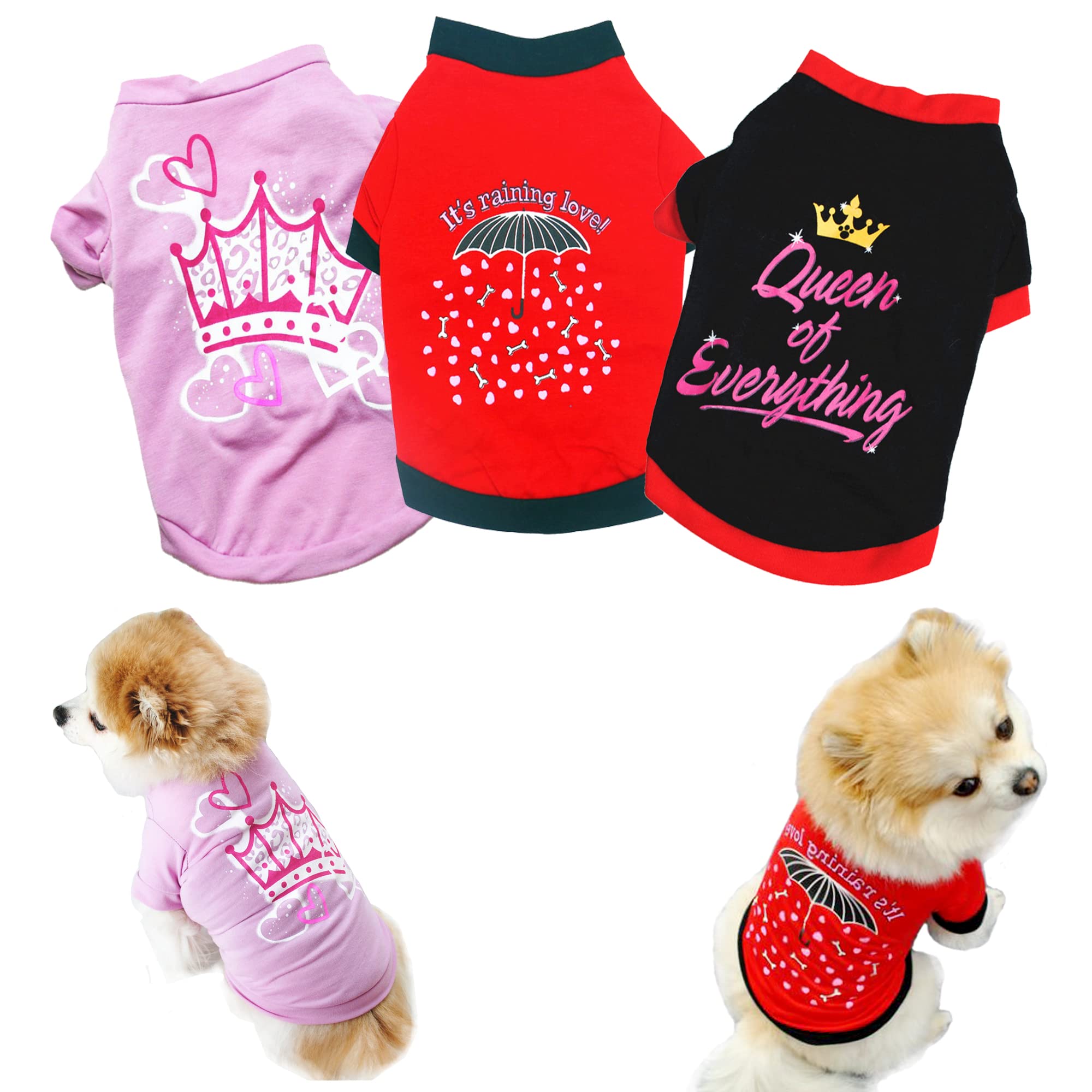 female puppy outfits