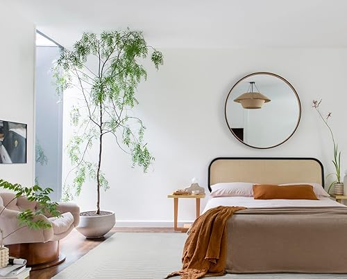 Miniatura 4 de Revival Rugs Soloba - Alfombra lavable a máquina para sala de estar o dormitorio, 100% reciclada, con certificado Oeko-TEX, pelo mediano, beige,