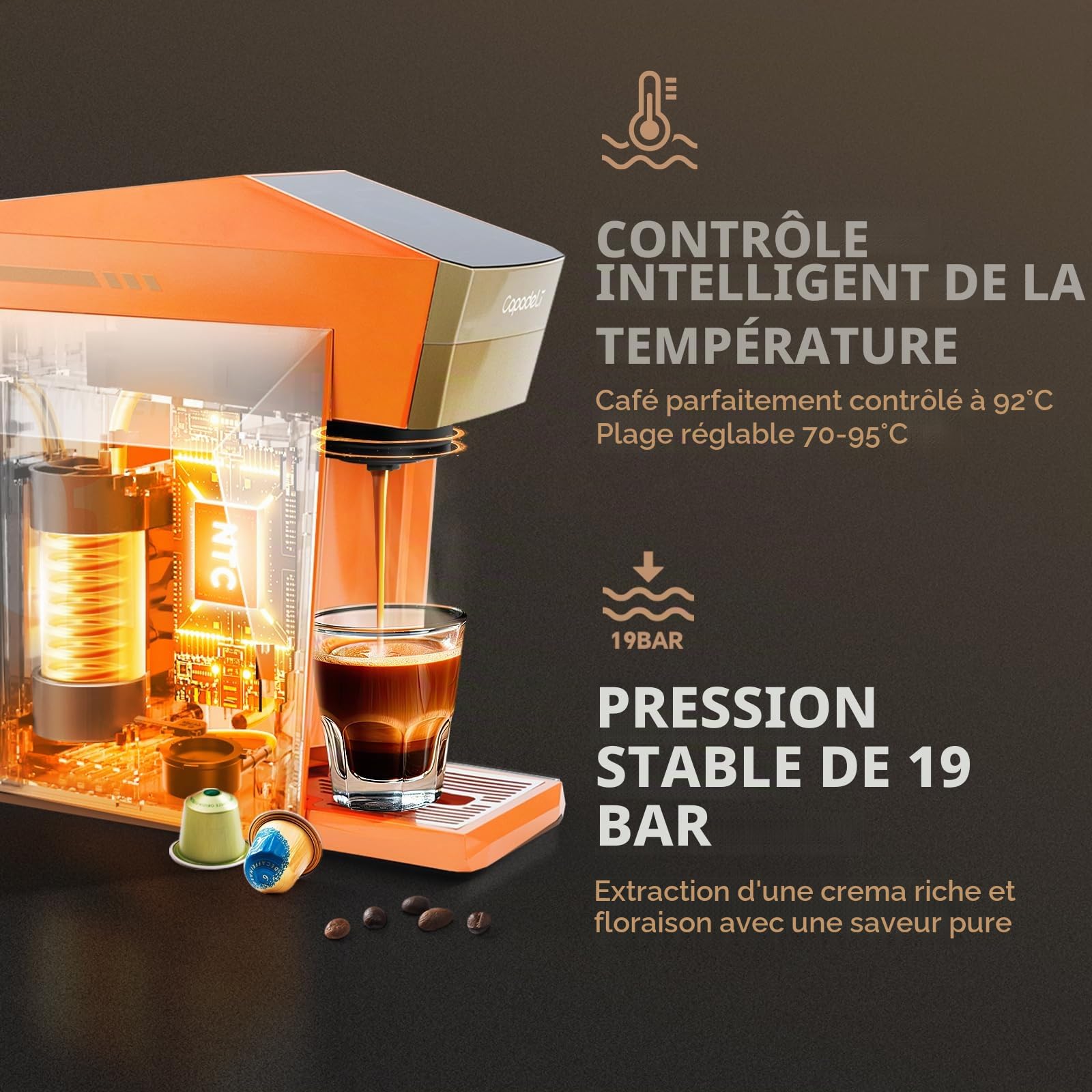 Machine à Expresso Multifonctionnelle 3 en 1, 19 Bar, pour Capsules Nespresso Original/L'OR/Dolce Gusto/Café Moulu (Orange)
