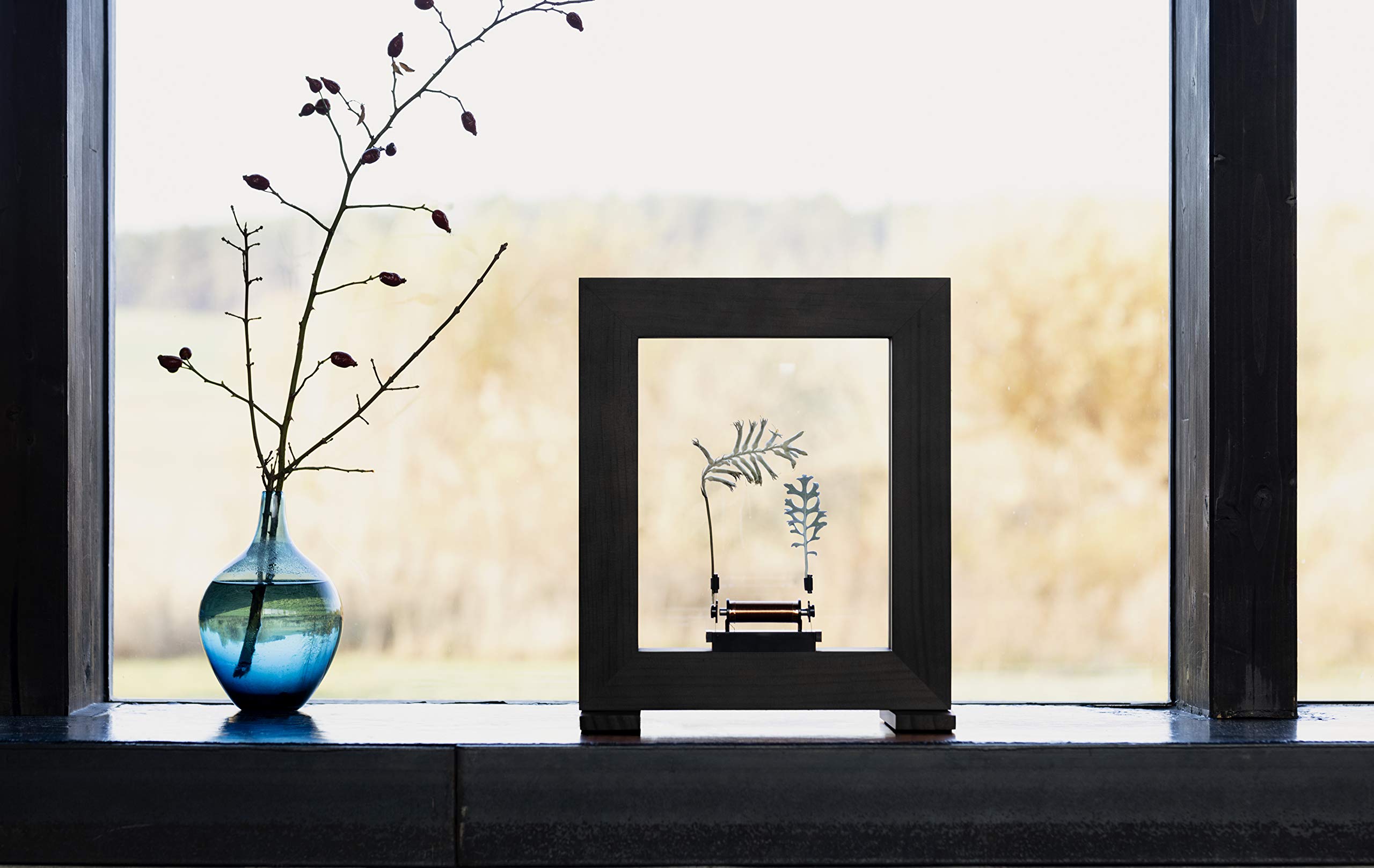 Wonder 18022 Machines Slow Dance Bilderrahmen, Zeitlupeneffekt durch optische Täuschung, Entschleunigung durch Technik, Wissenschaft und Kunst, gebeizte Esche, schwarz, LED, Stoboskop