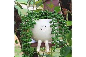 Cute Swinging Planter: Cheerful Smiley Face Hanging Decoration