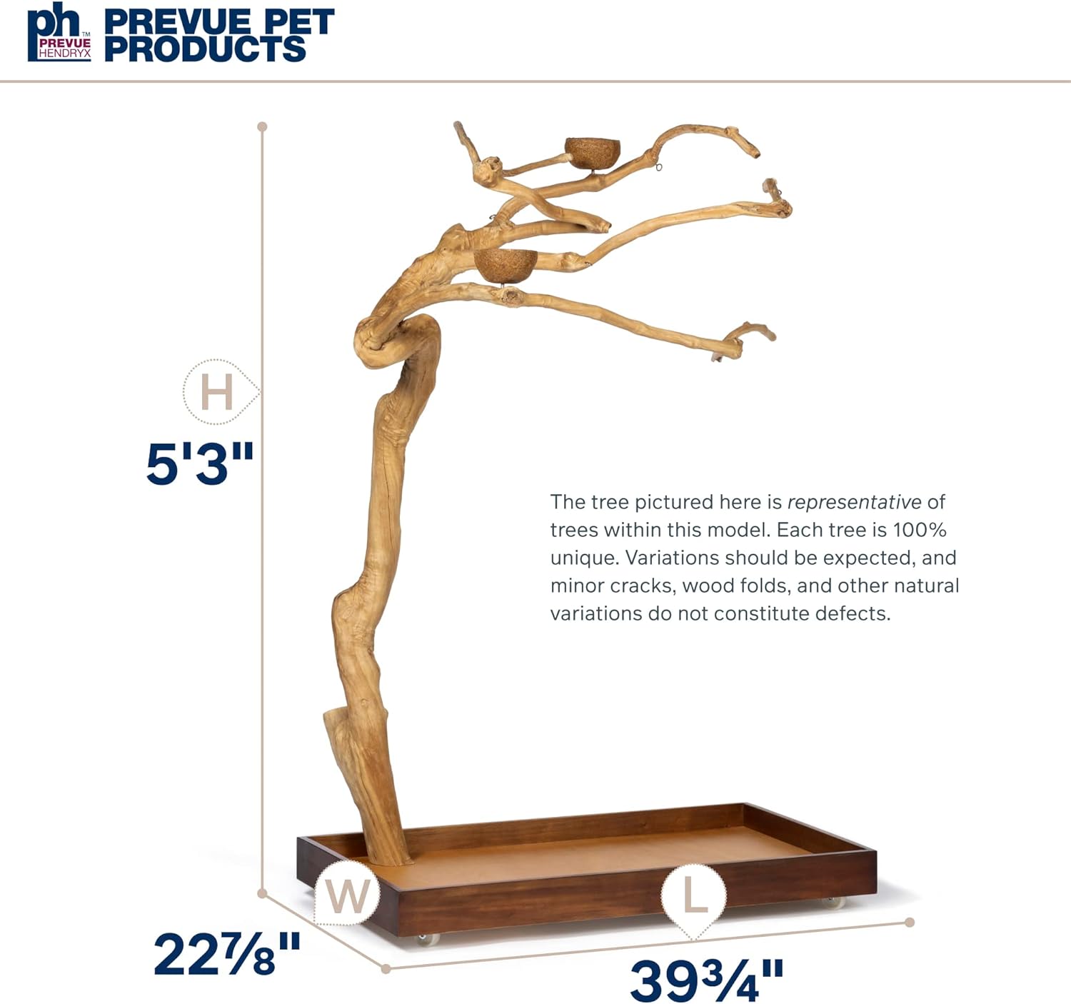 Coffeawood Tree Style # 2 (Large)