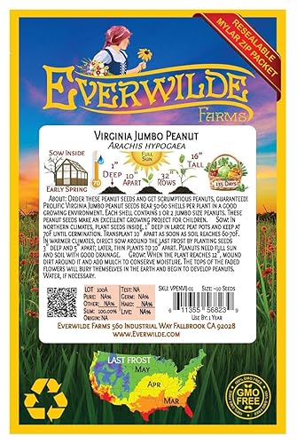 Miniatura 2 de 10 semillas de maní Virginia Jumbo - Gold Vault Jumbo