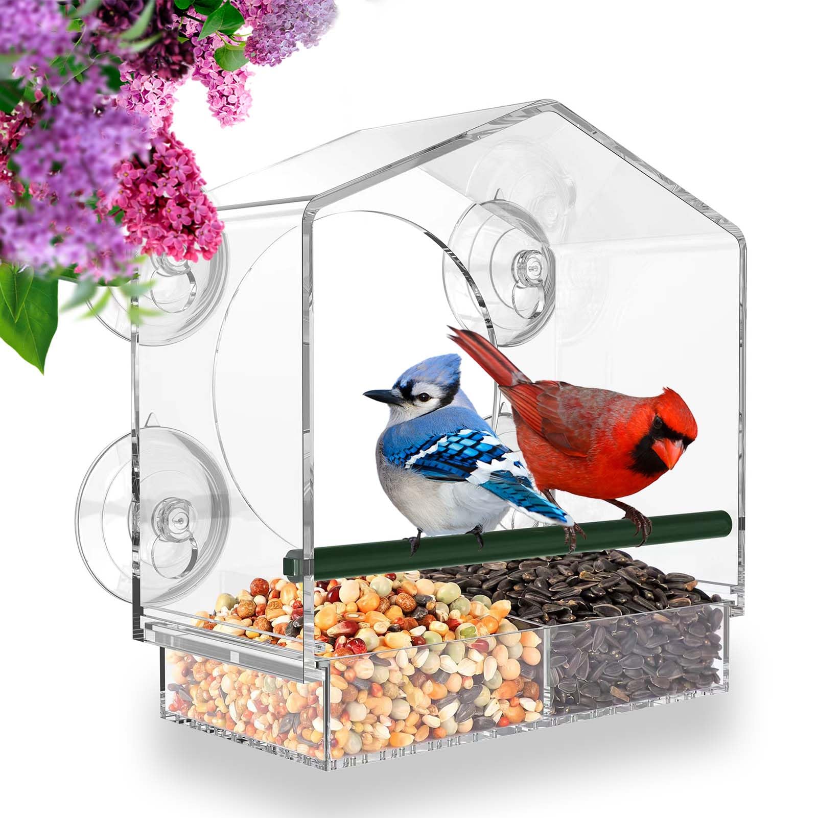 MrCrafts Comedero para Pájaros de Ventana Grande, 26x14x5.5 cm - Window Bird Feeder - Comedero Transparente para Ventana de Exterior para Aves Silvestres - Regalo Original — view 8