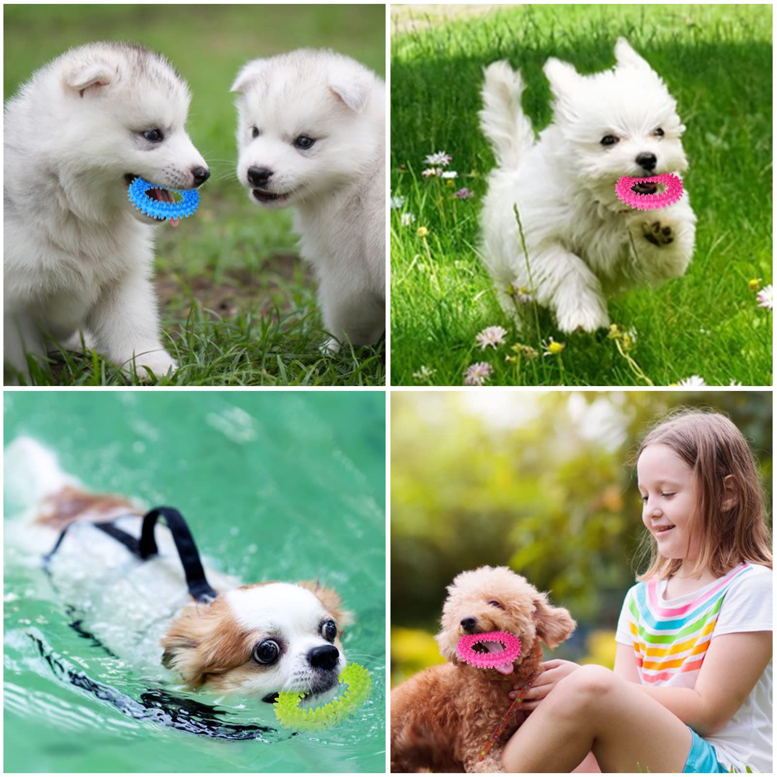 KOMUNJ 3 stuks 360° schone huisdiertanden en kalmerende jeuk kleine honden puppyspeelgoed ring, rubberen honden kauwspeelgoed mondgezondheid puppy's interactief KOMUNJ 3 stuks 360° schone huisdiertanden en kalmerende jeuk kleine honden puppyspeelgoed ring, rubberen honden kauwspeelgoed mondgezondheid puppy's interactief