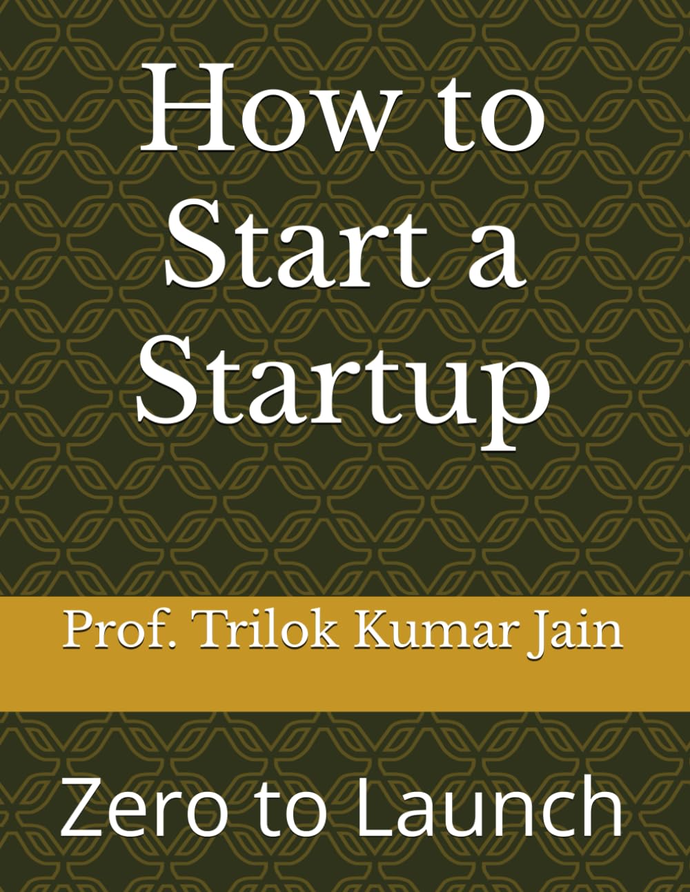How to Start a Startup: Zero to Launch (Business Management and Entrepreneurship)