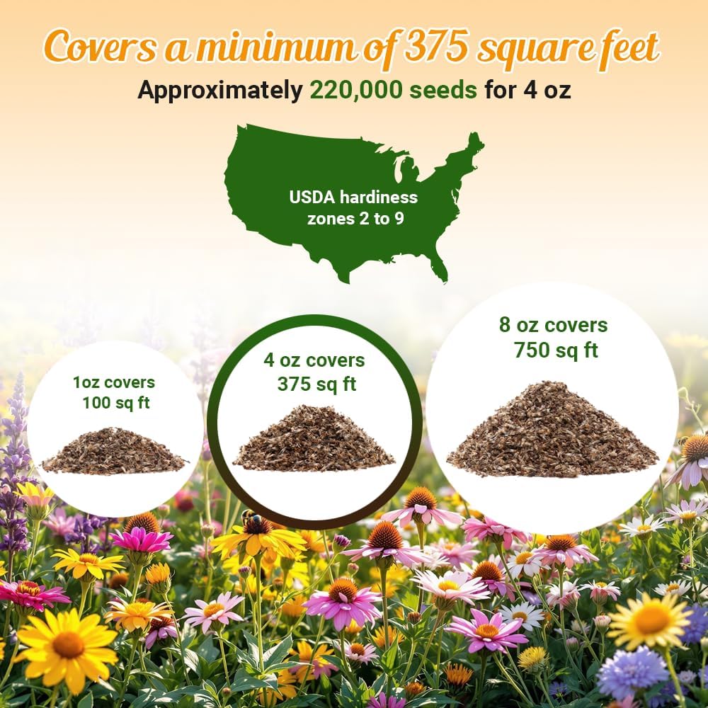 Drought Tolerant Wildflower Seeds - 4oz Packet, Open-Pollinated Bulk Flower Seed Mix for Beautiful Perennial, Annual Garden Flowers - No Fillers - 1/4 Pound