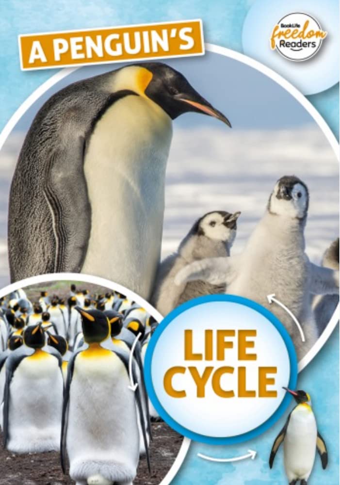 A Penguin's Life Cycle (BookLife Freedom Readers)