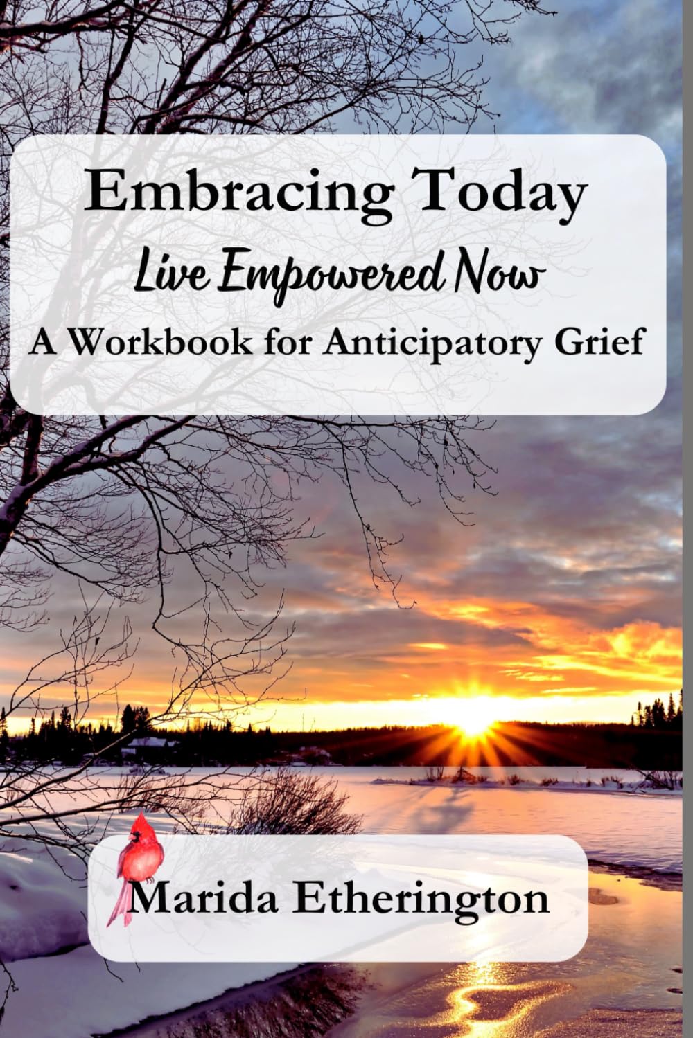 Embracing Today: Live Empowered Now: A Workbook for Anticipatory Grief