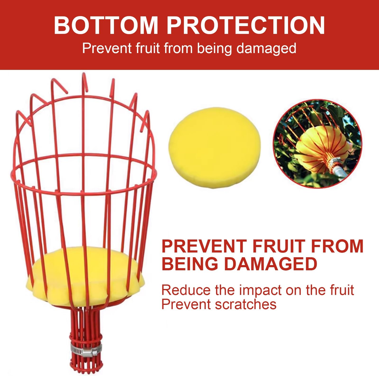 Obstpflückstange, Obstpflückerstange mit Korb, Schaumstoff-Schutzpolster, Obstbaumpflücker aus Edelstahl for Apfel, Birne, Zitrone, Orange(2m)