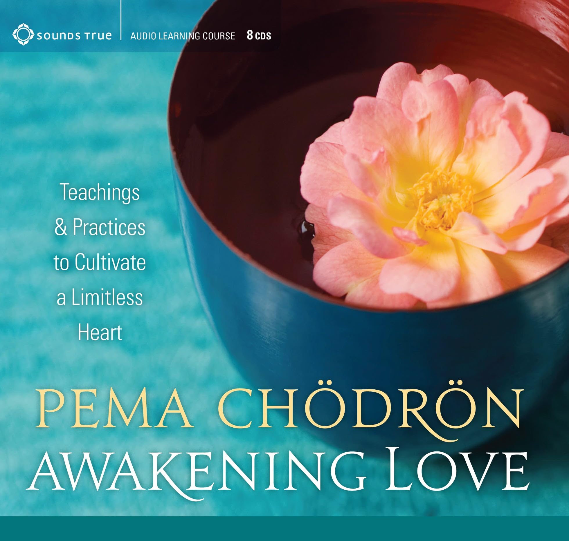 Sounds True Inc. Audio Awakening Love: Teachings and Practices to Cultivate a Limitless Heart