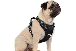 Rabbitgoo Small Dog Harness, No Pull Adjustable Harness for Small and Medium Dogs, Black S