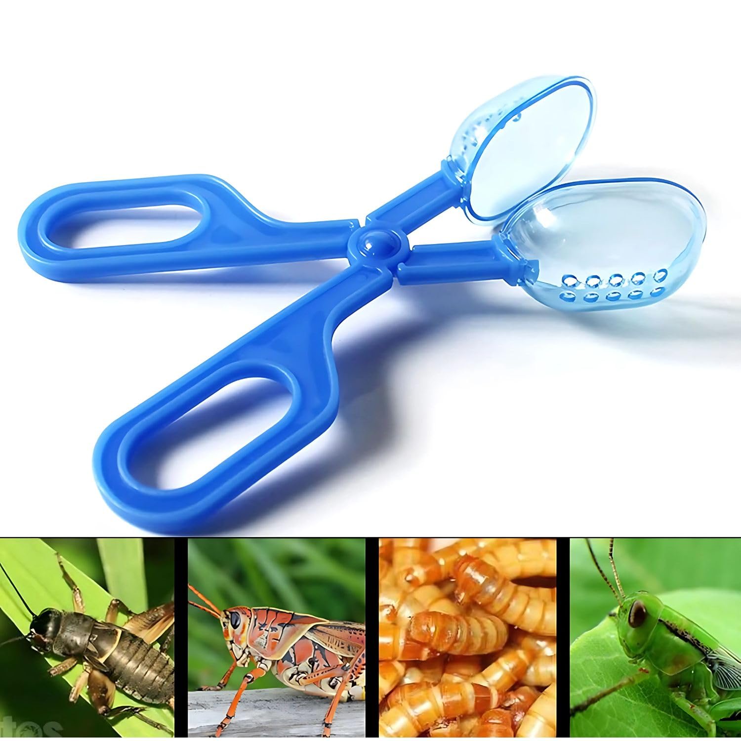 VAYINATO® 1pc Durable Plastic Reptile Feeding Clamps, Convenient Pet Feeding Clip for Breadworms and Insects for Tortoises, Lizards, Frogs, Spiders By Petzlifeworld