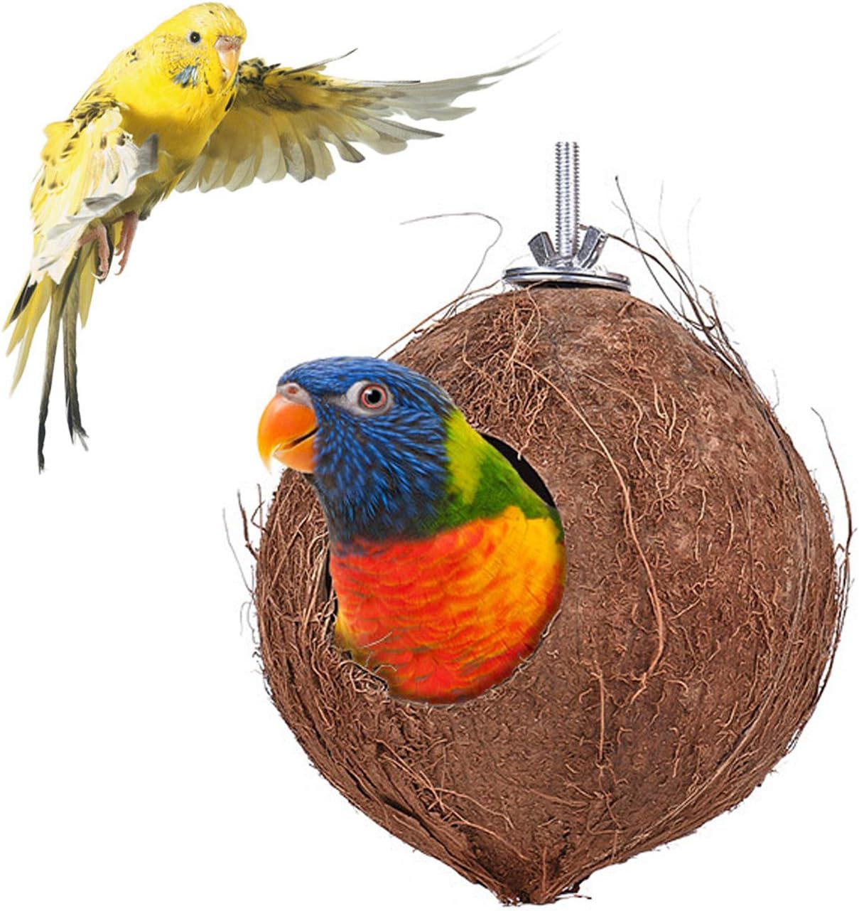YJJKJ Pet Bird Natural Coconut Shell Bird House Parakeet Budgie Cockatiel Finch Sparrows Breeding Nesting Bird Aviary Cage Box Anti-Pecking Bite (Diameter:4.3") image 2