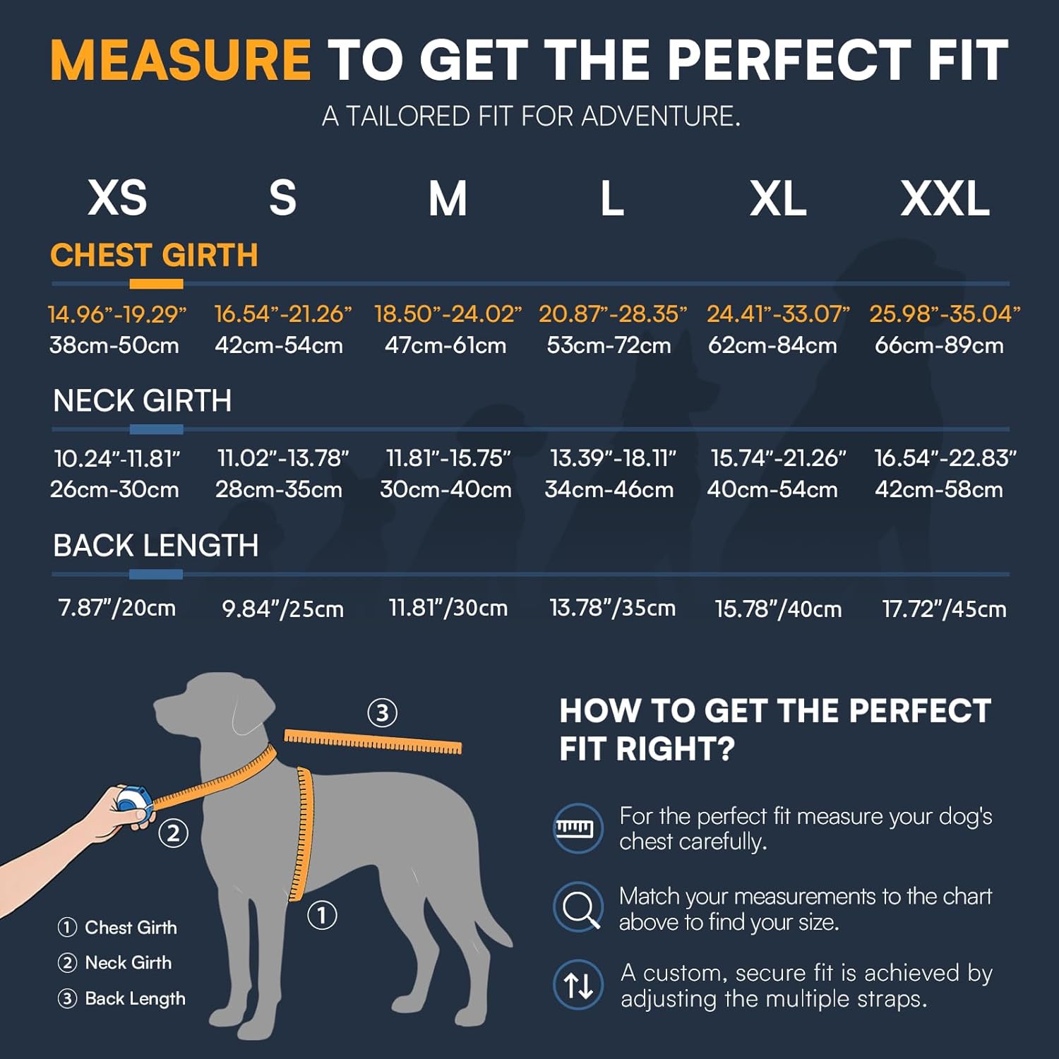 Queenmore Medium Dog Life Vest, Dog Shark Life Jacket for Swimming Boating in Pool Lake with Rescue Handle, Leash Hook, Reflective Strip, Light Weight