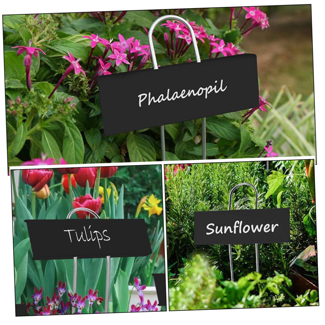 Lurrose 32 Étiquettes De Plantes De Jardinage Marqueurs De Jardin Étiquettes De Plantes Piquets D'Identification Des Plantes Étiquettes De Bâtons De Jardinage Piquet De Plante De