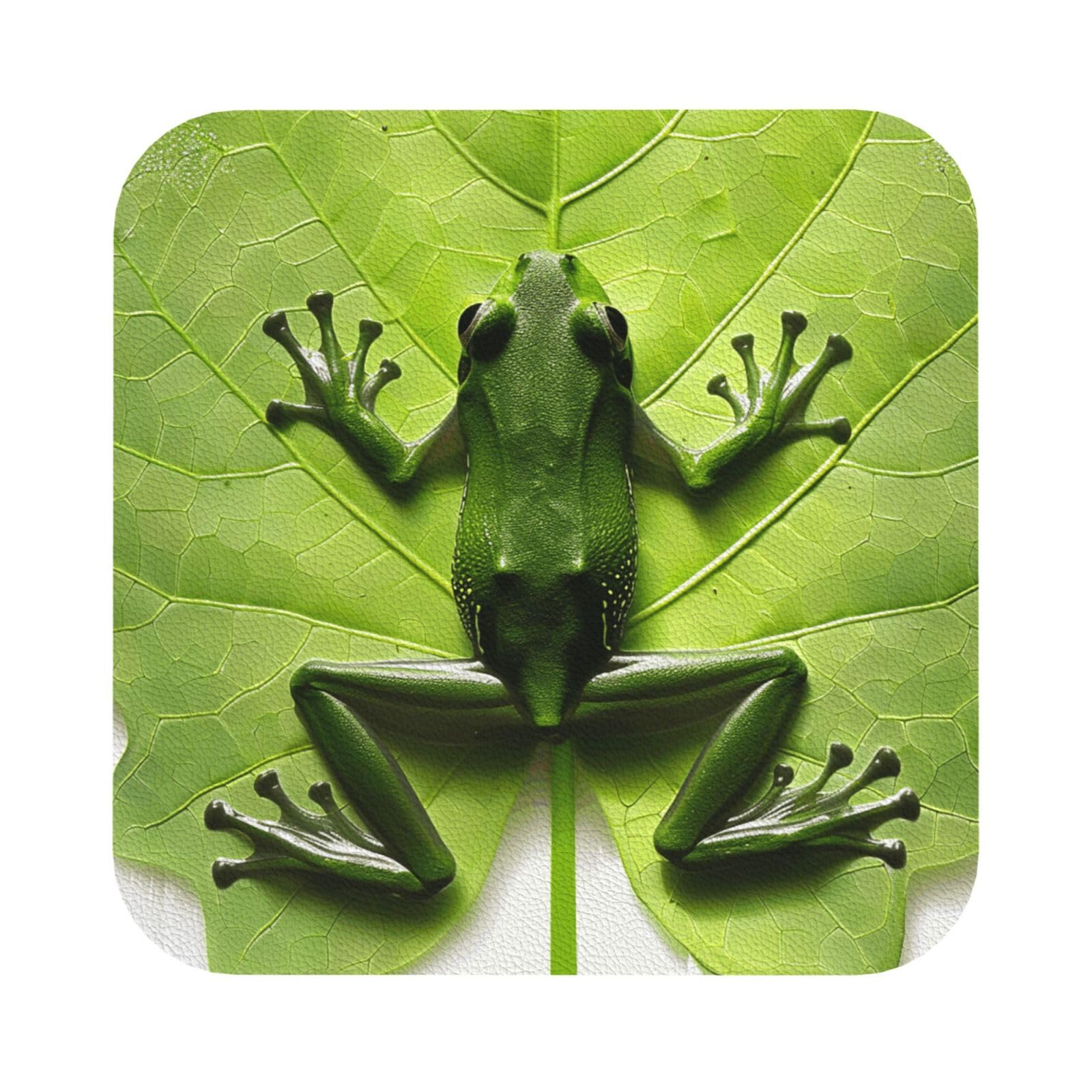 Frog Leaves Print Leather Coaster Set of 6, Square Coasters Table Decorative Coffee Cup Beverage Coasters Wine Beer Bar Coasters for Hot Drinks Table Protection