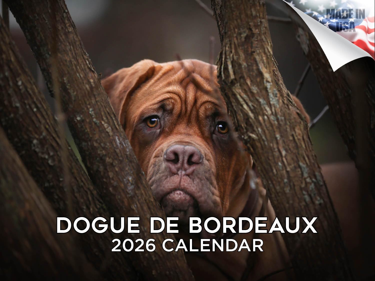 Calendario 2024 2025 Dogo de Burdeos – Calendario mensual de pared de raza de perro – 12 x 18 pulgadas abierto – Papel grueso que no se corre – Regalo – Planificador académico para profesores,