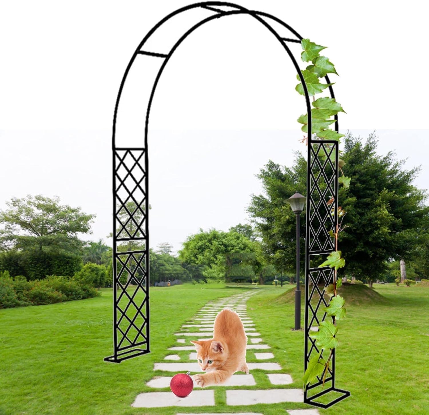Arche de jardin treillis support plante grimpante métal noir déco mariage 250cm