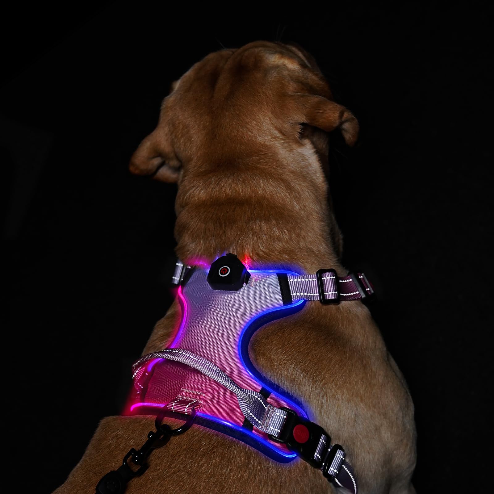 LED Light Up Dog Harness: USB Rechargeable Glowing Waterproof Reflective No Pull Adjustable Oxford Vest with Easy Control Handle for Pet Outdoor Night Safety Walking (Gradient Pink, X-Large)