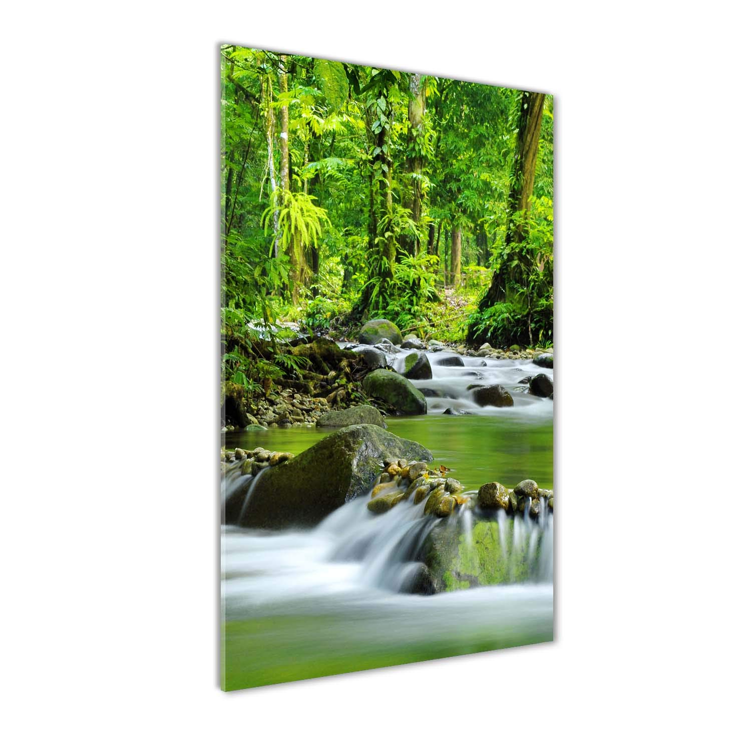 Tableaux pour la mur en verre acrylique 50x100 tableau paysage vert Tulup
