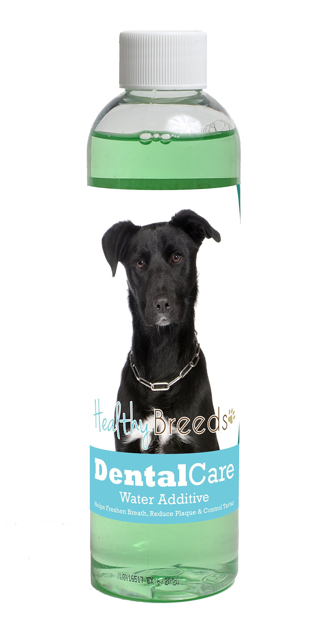 Healthy Breeds Dog Dental Care Water Additive for Mutt - Helps Freshen Breath, Reduce Plaque &amp; Control Tartar - Mint Flavor - 8 oz