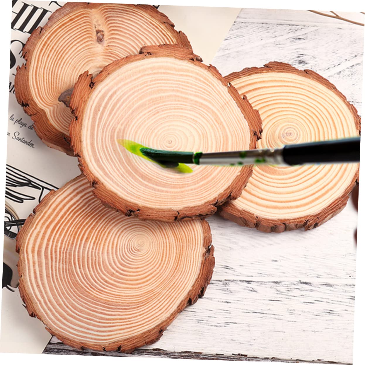 12 Stück Runde Holzscheiben Unbehandelt für DIY Bastelprojekte Natürliche Holzuntersetzer mit Rinde für Tischdeko und Bastelarbeiten