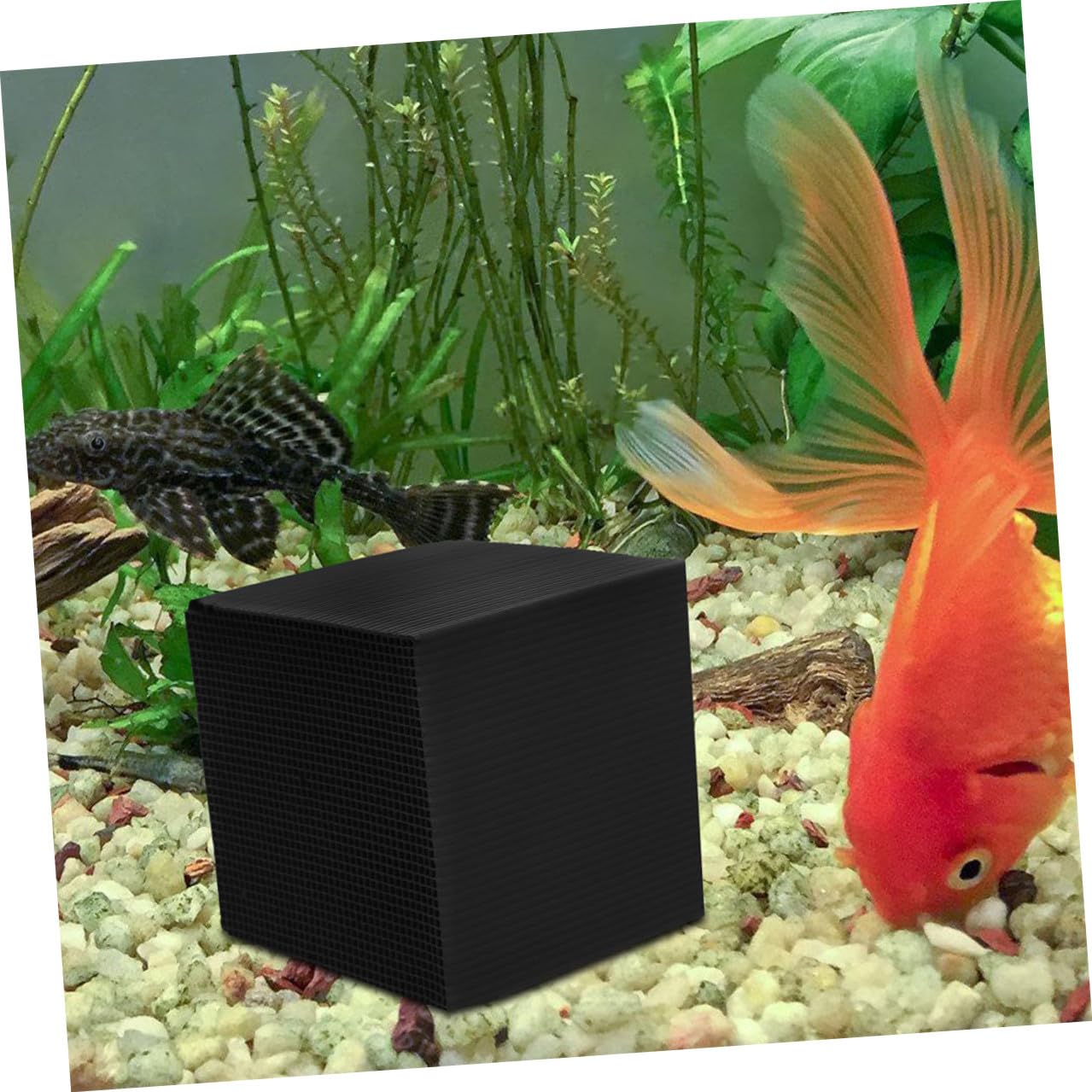 Lot de 2 cubes filtrants à eau en charbon actif pour abreuvoir pour chevaux et aquariums - Réduction des odeurs - Durable - Installation facile - Cube de nettoyage pour animaux de ferme