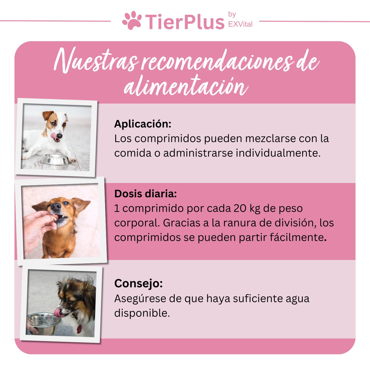 TierPlus Pelaje Radiante, Complejo de biotina de Alta dosis para Perros, contra la caída del Pelo, el picor y la Piel Seca – para un Pelaje Brillante y una Piel Sana, 120 tabletas
