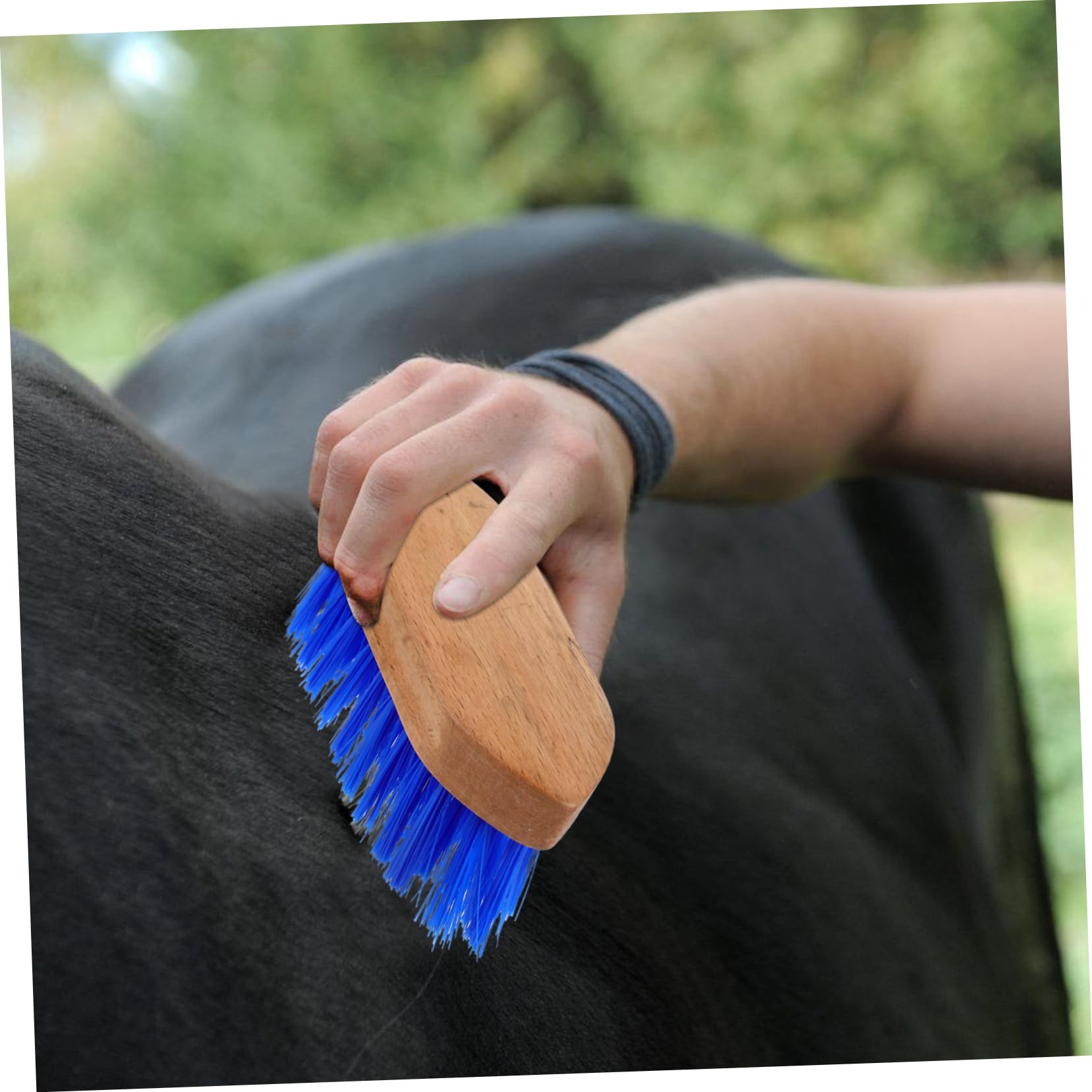 HOLIDYOYO Horse Grooming Brush Stiff Bristle Curry Comb Equestrian Horse Brush Easy to Clean