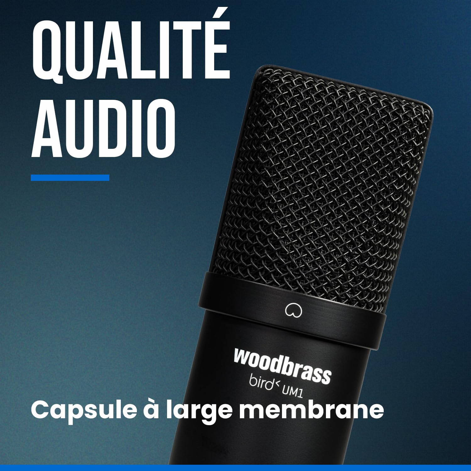 Bird Woodbrass UM1 Noir - Microphone USB Cardioïde à Condensateur PC et Mac pour Broadcast et Enregistrement Streaming, Podcasting, Conférence, Home Studio Mao, Voix Off