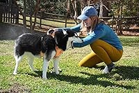 Vista 5 de Sawyer Products SP624 Permetrina, Tratamiento repelente de insectos de permetrina para perros