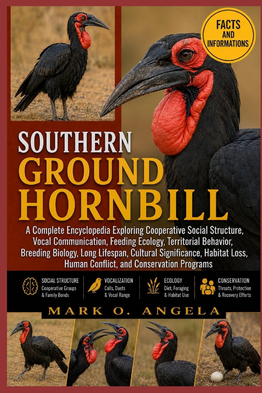 SOUTHERN GROUND HORNBILL: A Complete Encyclopedia Exploring Cooperative Social Structure, Vocal Communication, Feeding Ecology, Territorial Behavior, ... Loss, Human Conflict, and Conservation