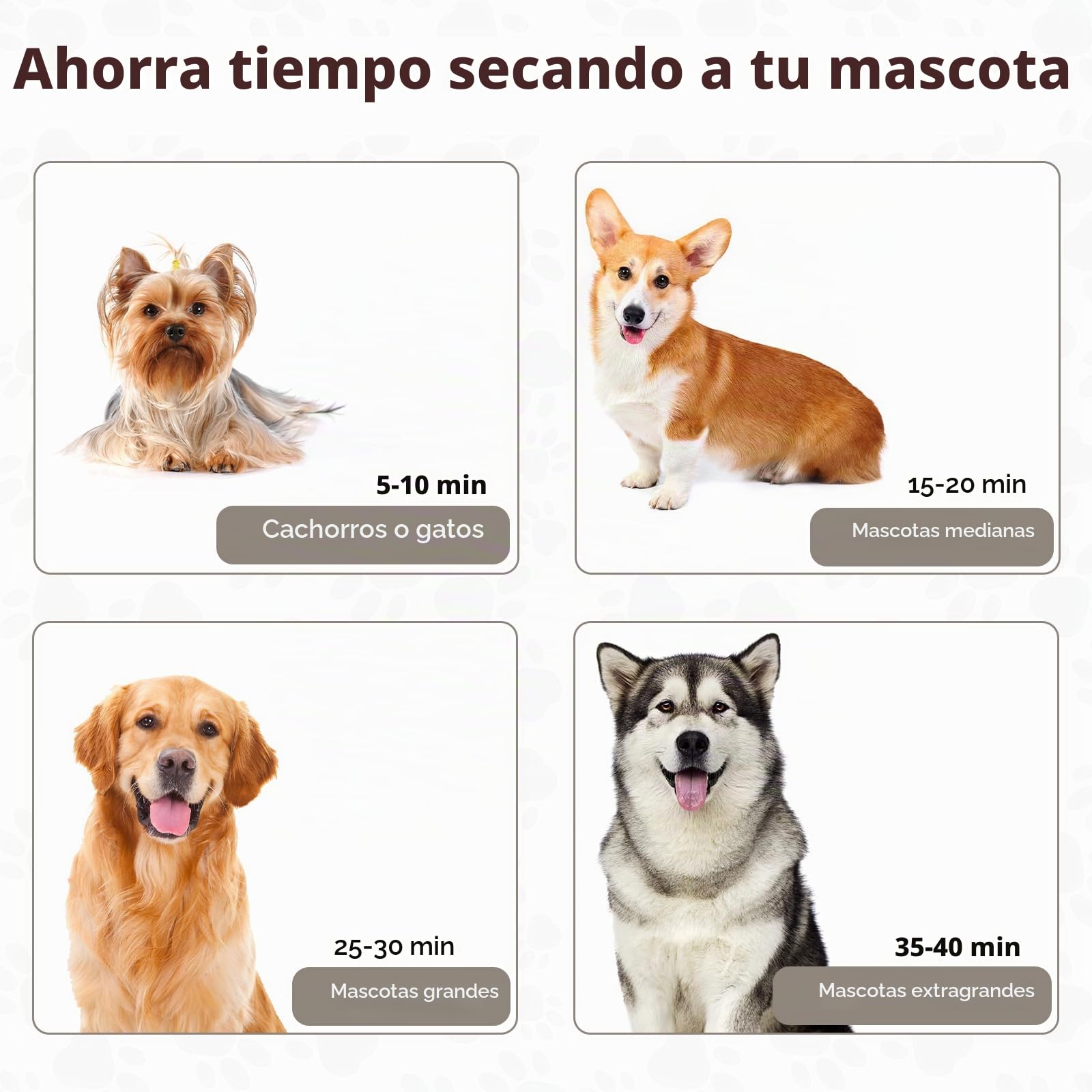 Secador de Pelo para Perros Blower Muy silencioso 4,5 CV / 3200 W | Motor de Velocidad Ajustable, para el Cuidado de Perros con 4 Boquillas Diferentes Manguera Elástica y Cepillo de Cuidado