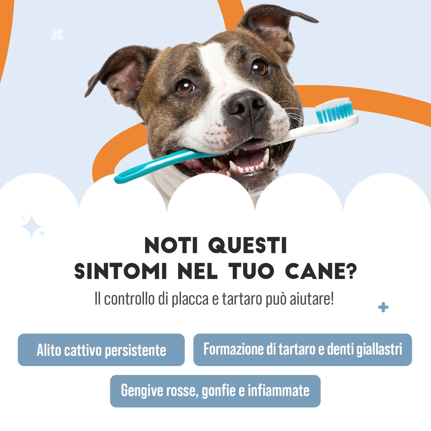 Pulizia Denti Cane in Polvere, Rimuovi Tartaro Denti, con Ascophyllum Nodosum e Pappa Reale, per Alito Cattivo e Igiene Orale, 150gr per Supporto alle Gengive e Alito Fresco