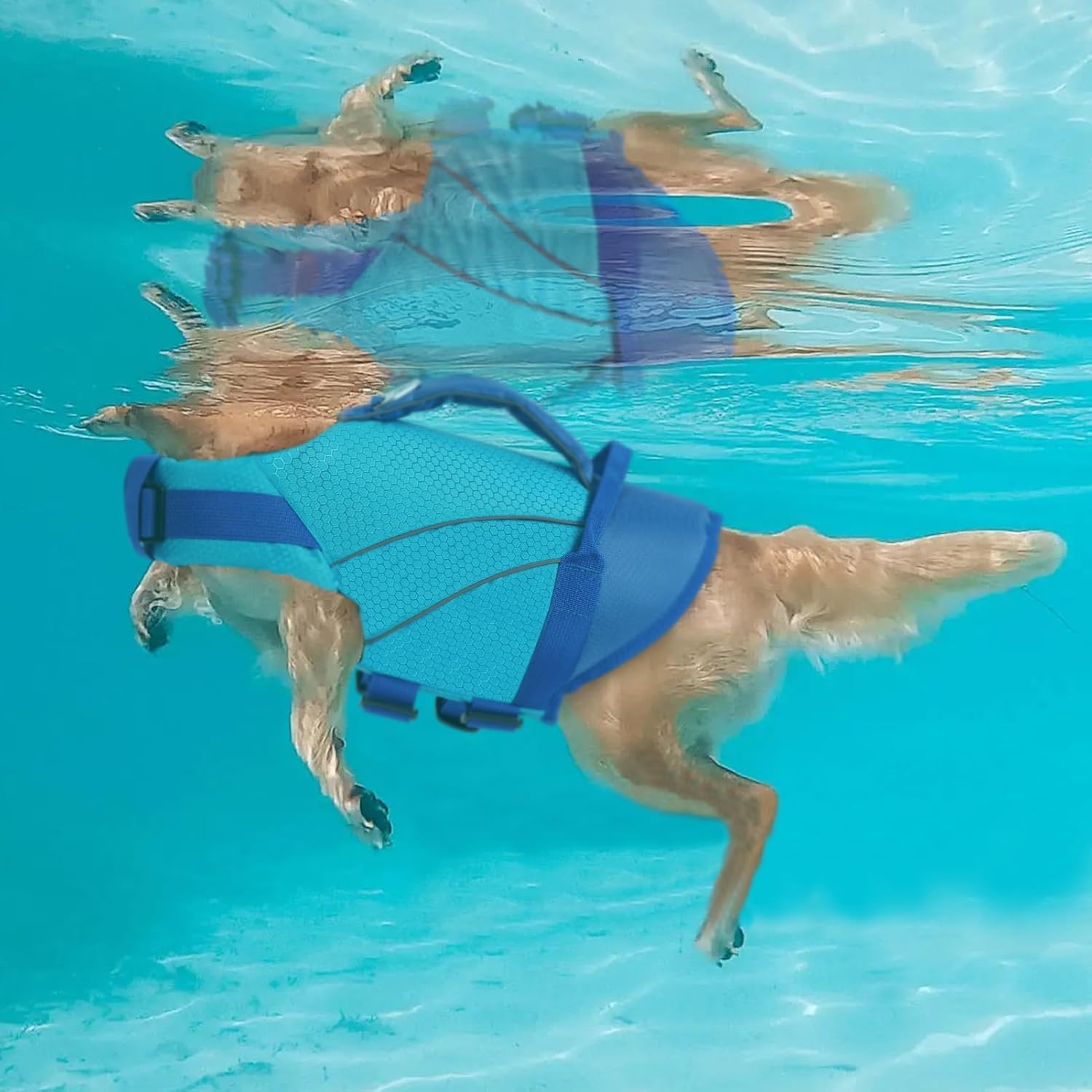 Queenmore Dog Life Jackets for Large Dogs, Reflective Dog Swimming Vest with Enhanced Buoyancy, High Visibility Life Preserver with Front Neck Float, Ripstop Pet Lifesaver (Blue,2XL)