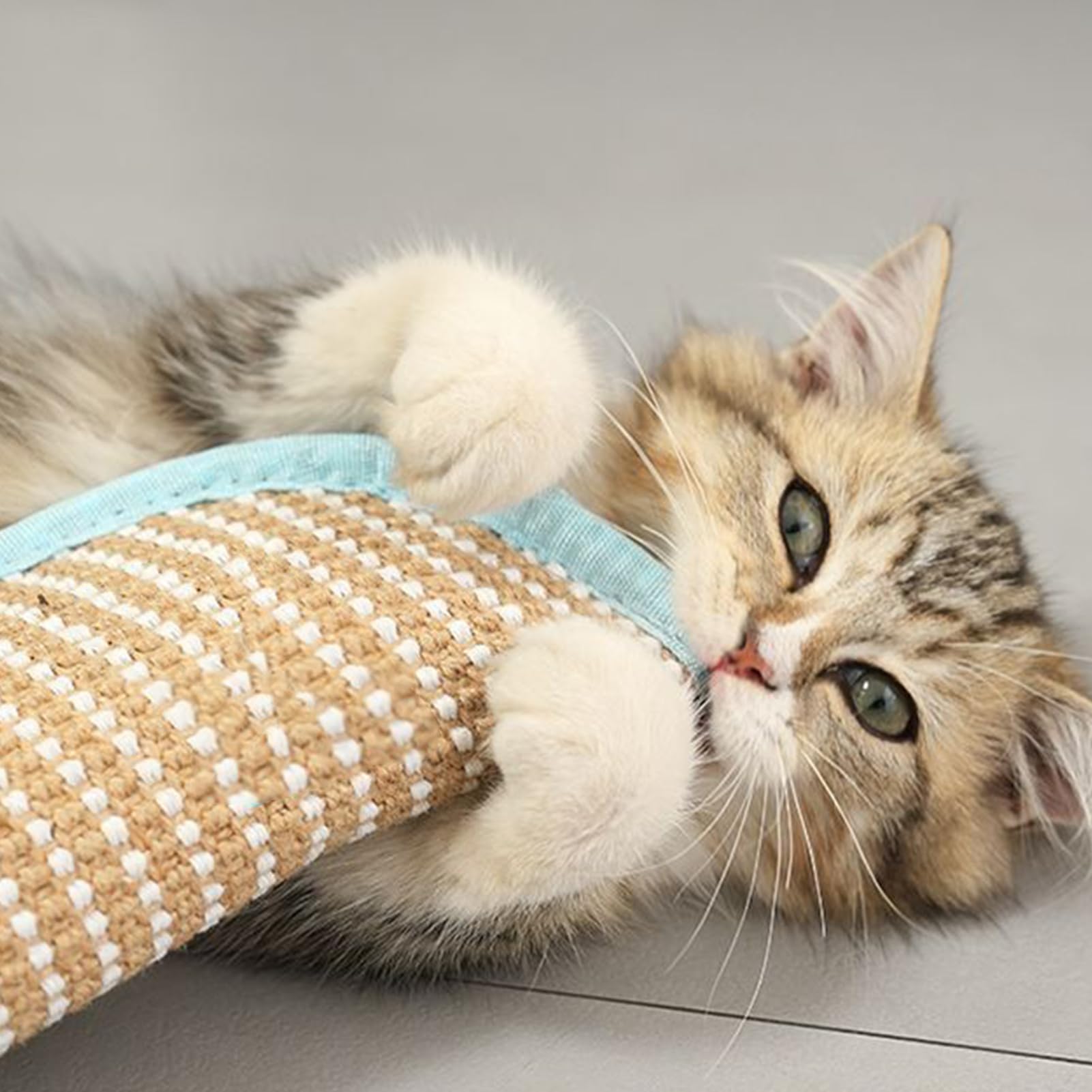 Juguete Para Gatos Con Hierba Gatera Compañero Interactivo 2 Piezas | Juguetes En Forma De Almohada Con Hierba Gatera Para Gatitos Para Razas Pequeñas Medianas y Grandes en Interior y Exterior