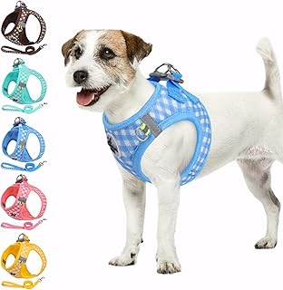 Savlot Reflektierendes Hundegeschirr für kleine & mittelgroße Hunde, Sicherheitsgeschirr mit Step-in Design für Nachtspaziergänge, Y-Form & Haarschonend (XS-L, Blau) product image