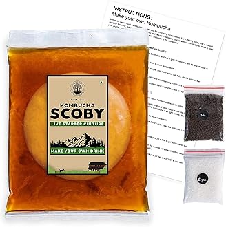 Peepal Farm Products Kombucha SCOBY | Natural Probiotic | Culture and Starter Tea | 100% Natural, No Preservative | Keto-Friendly, Low Sugar, Vegan, Gluten-Free | (400ml)