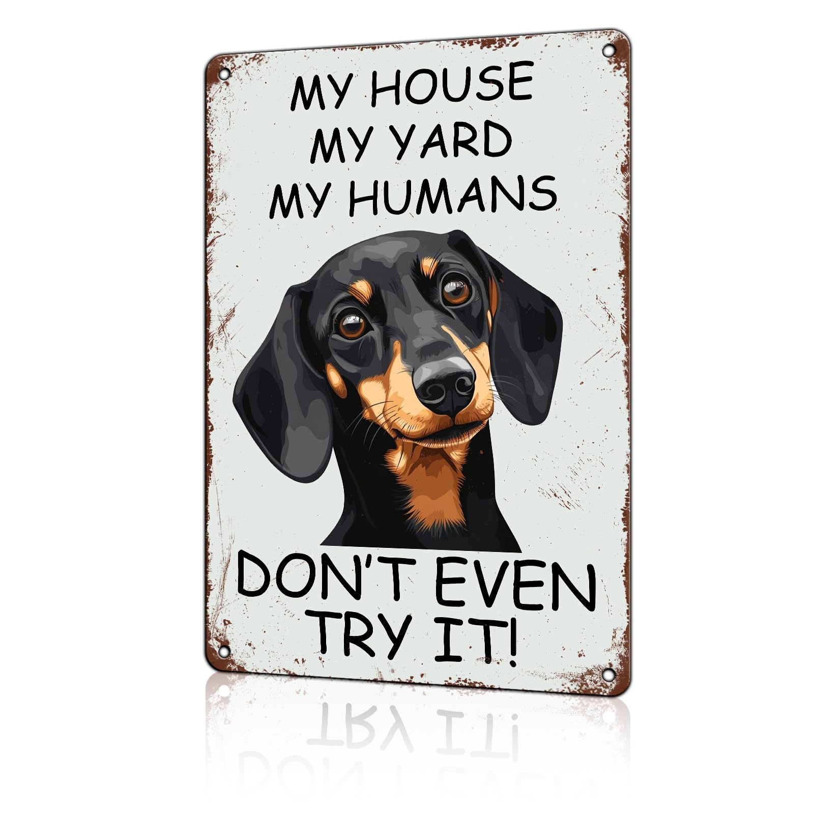 Jaesxxco Tin Sign25 Retro Decor Tin Signs Dachshund My House My Yard My Humans Funny Vintage Tin Sign Aluminum Sign Retro Wall Decor For Home Office Farmhouse Yard Garden Shop Cafe Indoor Outdoor 12X16 Inch