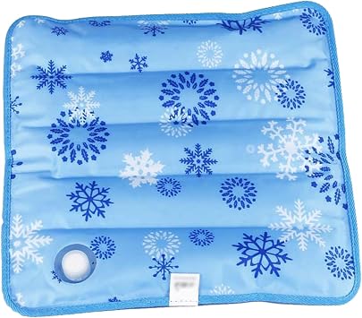 Ice Cushion Cool Ice Pillows Cushion,Water Filling Ice Cushion Chair Pad, Water Filling Ice Cushion Chair Pad,Pet Cushion,Summer Ice Pad,Beaches Cushion,Car Cushion,Office Cushion 14.17 x 14.17"