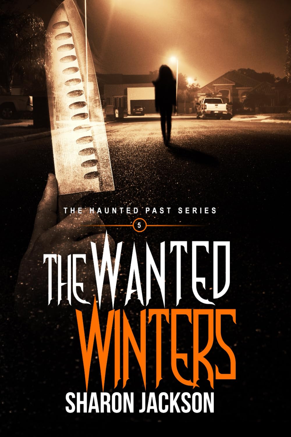 The Wanted Winters: (The Haunted Past Series Book 5)