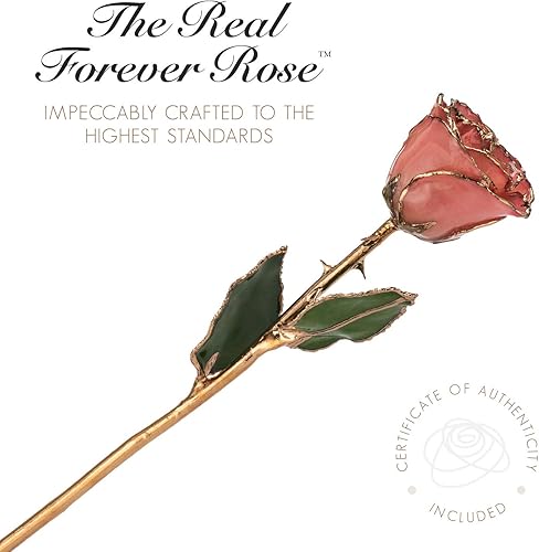 Miniatura 6 de Forever Rose Rosa rosa real, rosa auténtica y única sumergida a mano en laca y recortada en oro de 24 quilates